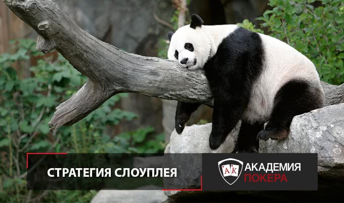 Зачем нужен слоуплей и как его распознать