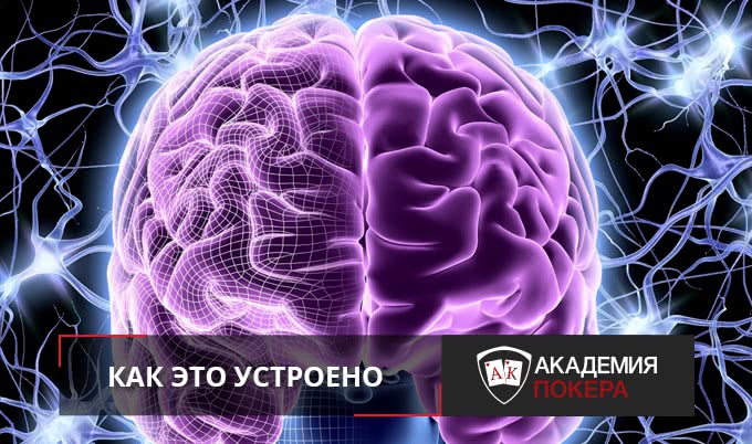 Как это устроено: групповое обучение