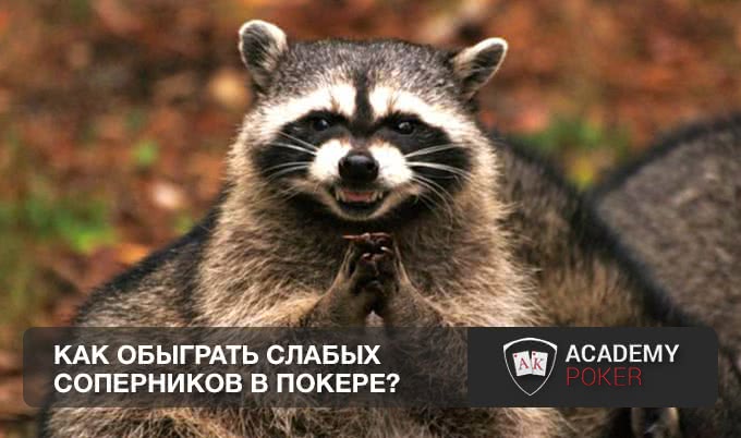 Как обыграть слабых соперников в покере