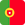 flag Португальский (Бразилия)